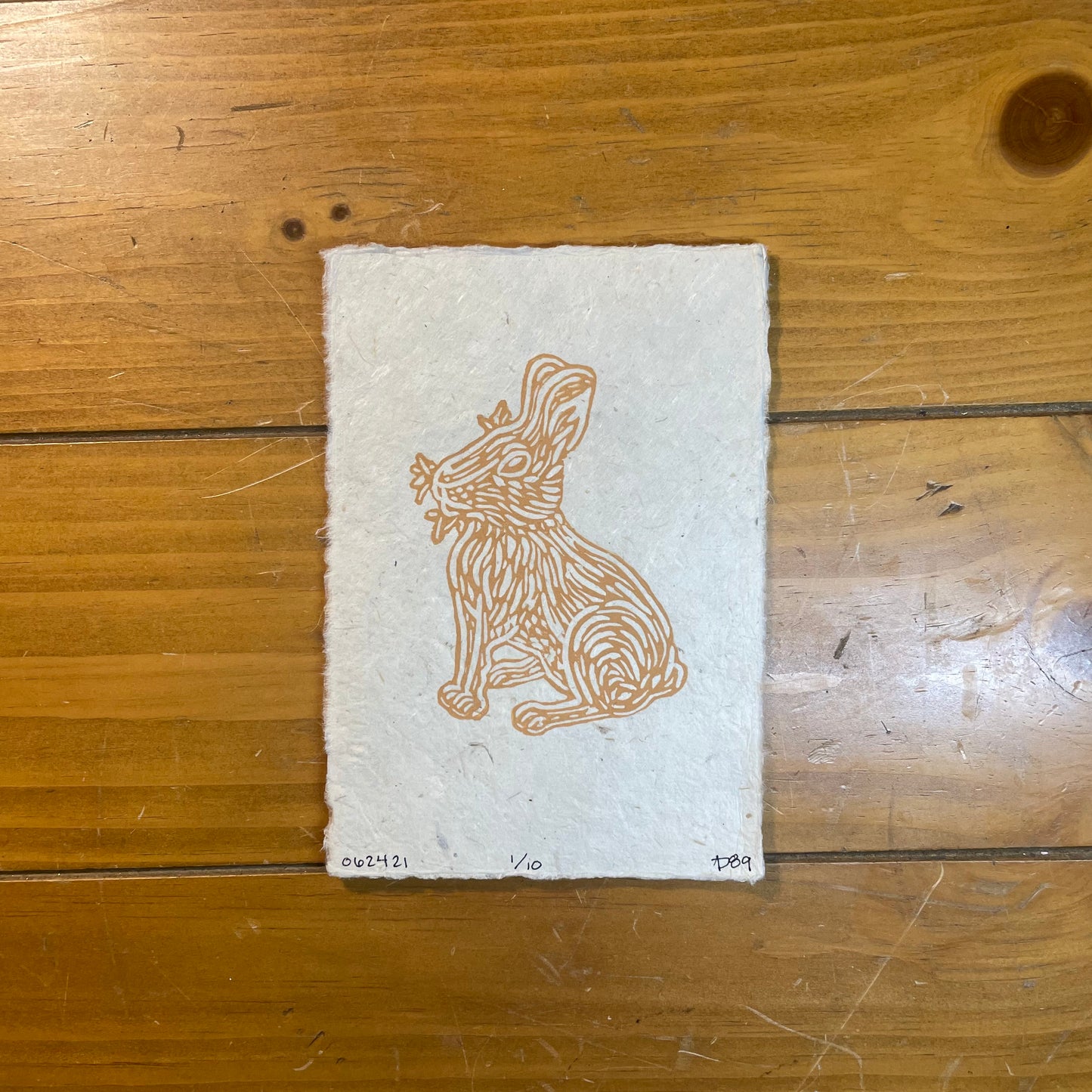 Eastern Cottontail Print